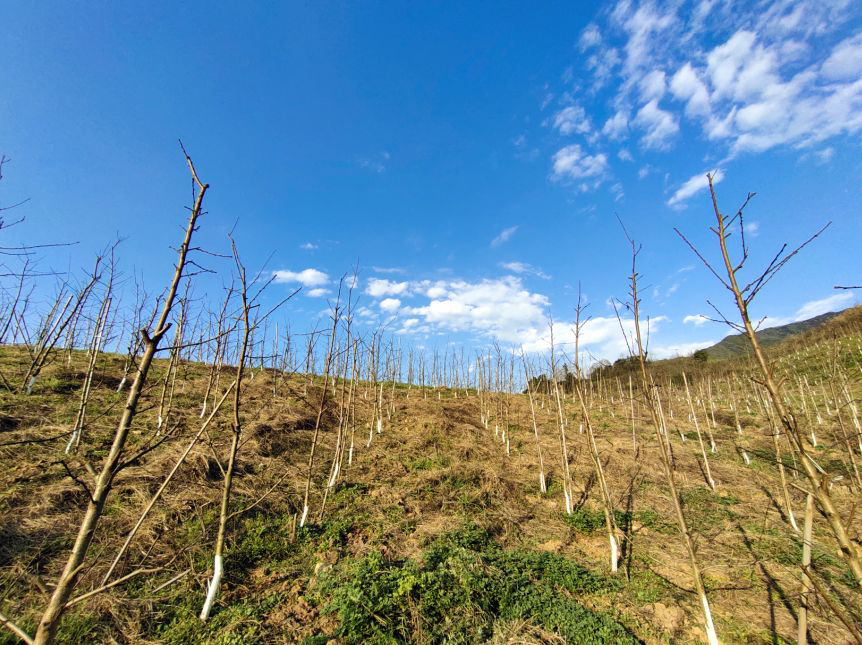 1620963583114025.png 图片1.png