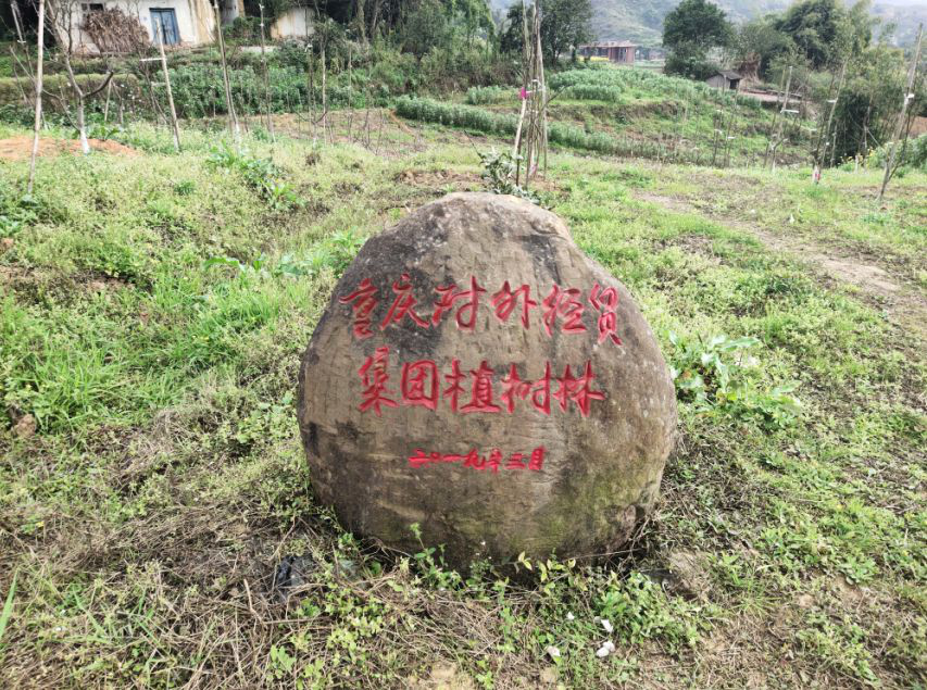 1620963588729044.png 图片2.png