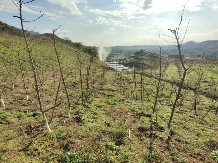 1620963594274456.png 图片3.png