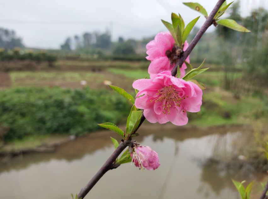 1620963600103693.png 图片4.png